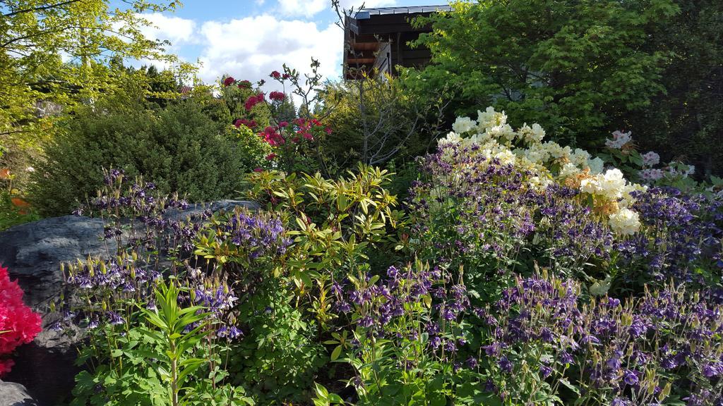 Marie Therese Apartment B&B Lake Tekapo Εξωτερικό φωτογραφία