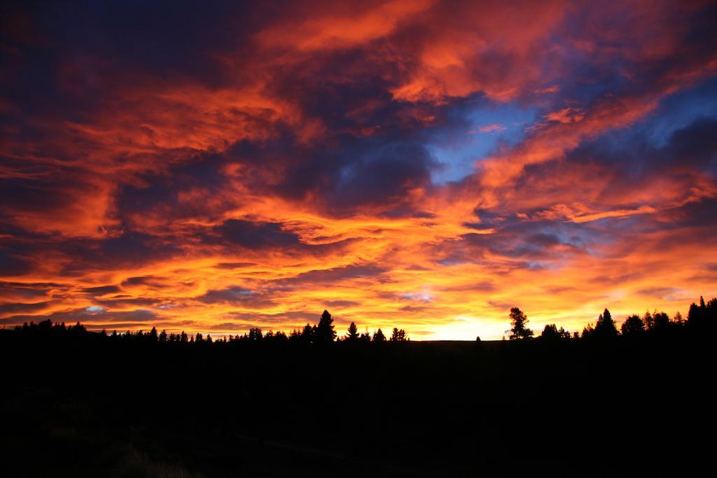 Marie Therese Apartment B&B Lake Tekapo Εξωτερικό φωτογραφία