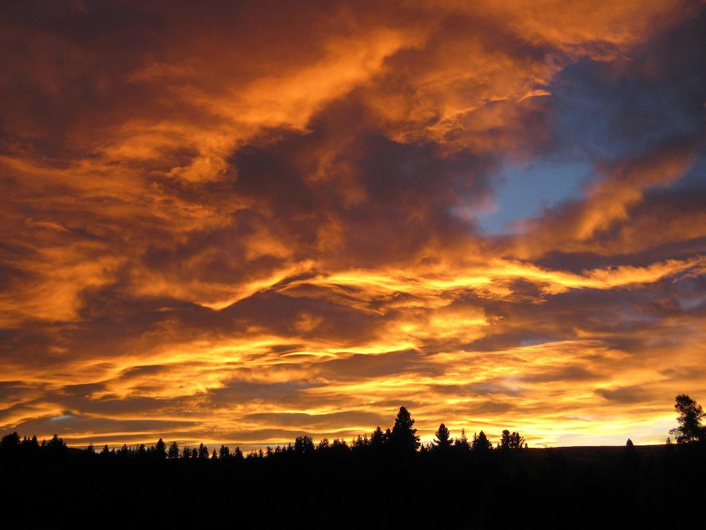 Marie Therese Apartment B&B Lake Tekapo Εξωτερικό φωτογραφία