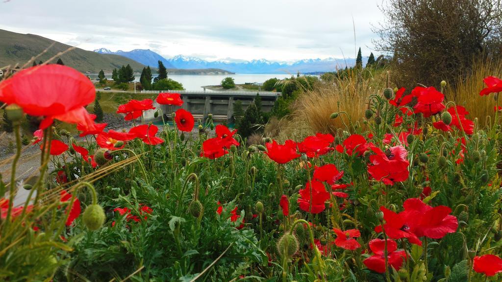 Marie Therese Apartment B&B Lake Tekapo Εξωτερικό φωτογραφία